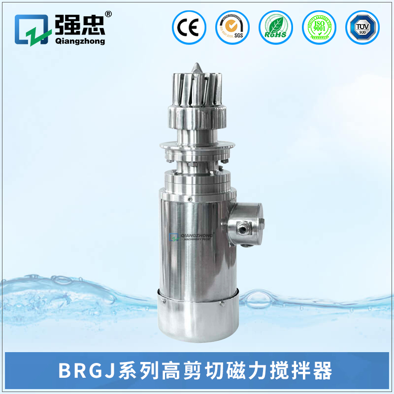 BRGJ欧宝官方网站入口(中国)有限公司高剪切磁力搅拌器